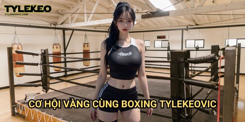 Boxing Tylekeovic – Bí Kíp Chinh Phục Dành Cho Người Mới 2 Cơ Hội Vàng Cùng Boxing Tylekeovic