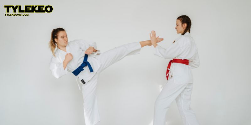 Karate Tylekeovic - Cá Cược Võ Thuật Đỉnh Cao, Kèo Cược Uy Tín