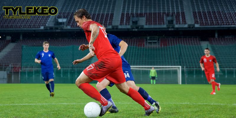 Kèo đồng banh nửa trái tại Tylekeovic