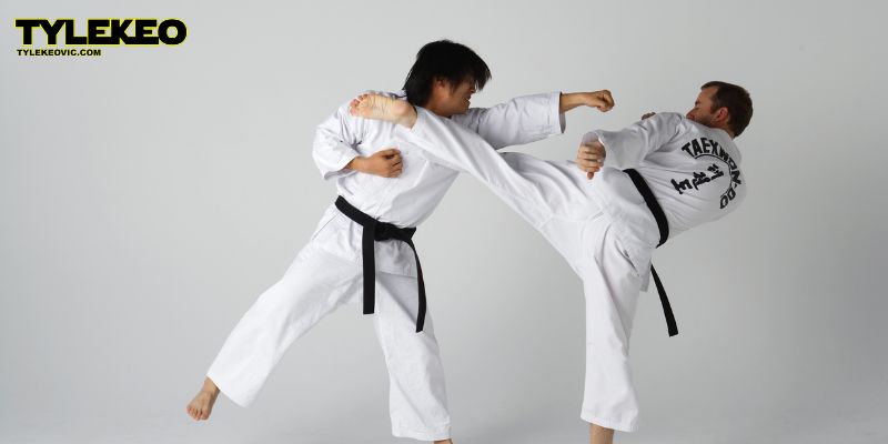 Taekwondo Tylekeovic - Đặt Cược Võ Thuật Kịch Tính, Thắng Cược An Toàn