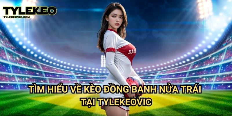 Kèo đồng banh nửa trái tại Tylekeo vic – Cách chơi và mẹo chiến thắng 2 Tìm hiểu về kèo đồng banh nửa trái tại Tylekeovic